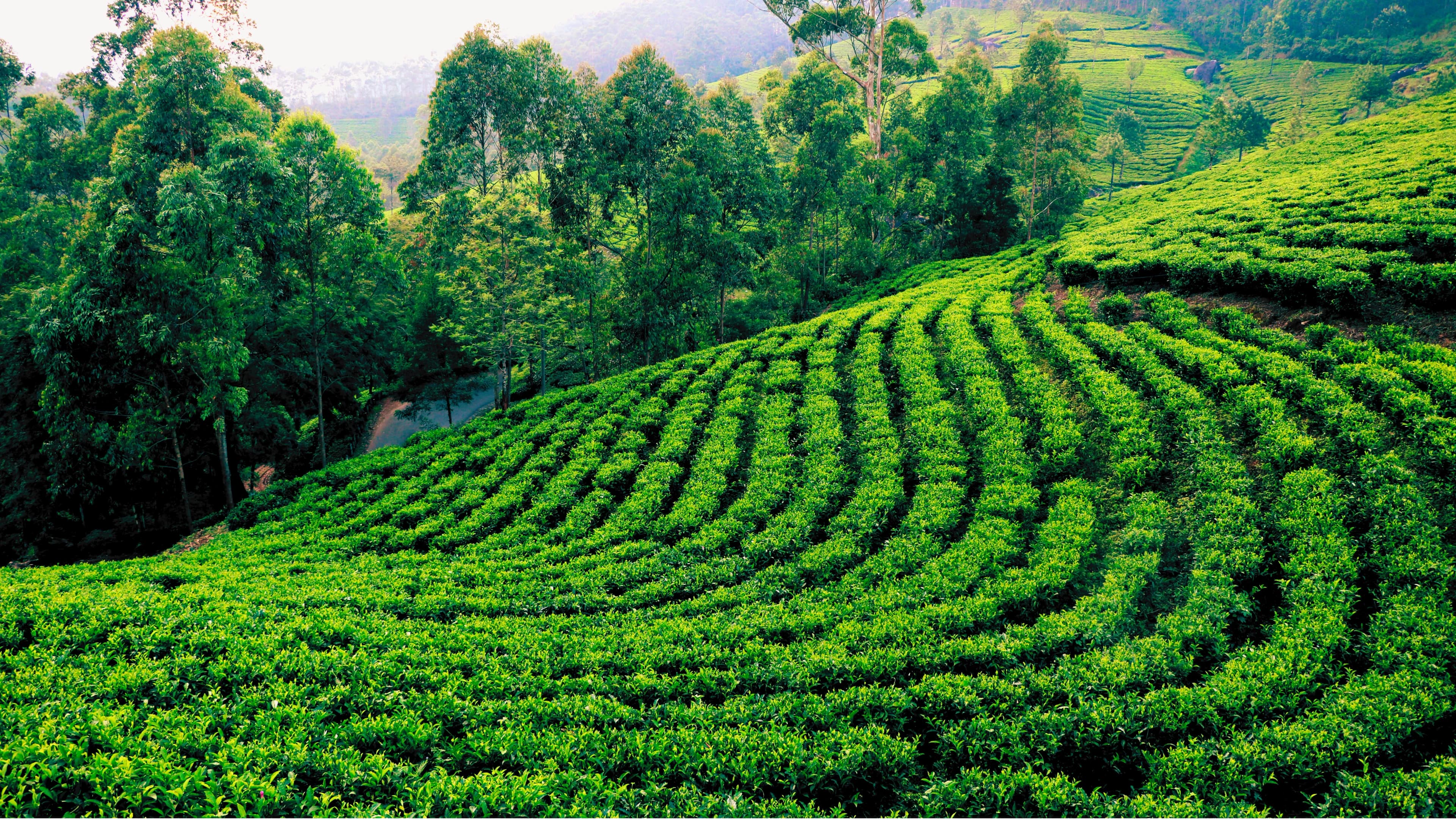 Top Colleges in Jorhat: Courses, Fees & Admission Process