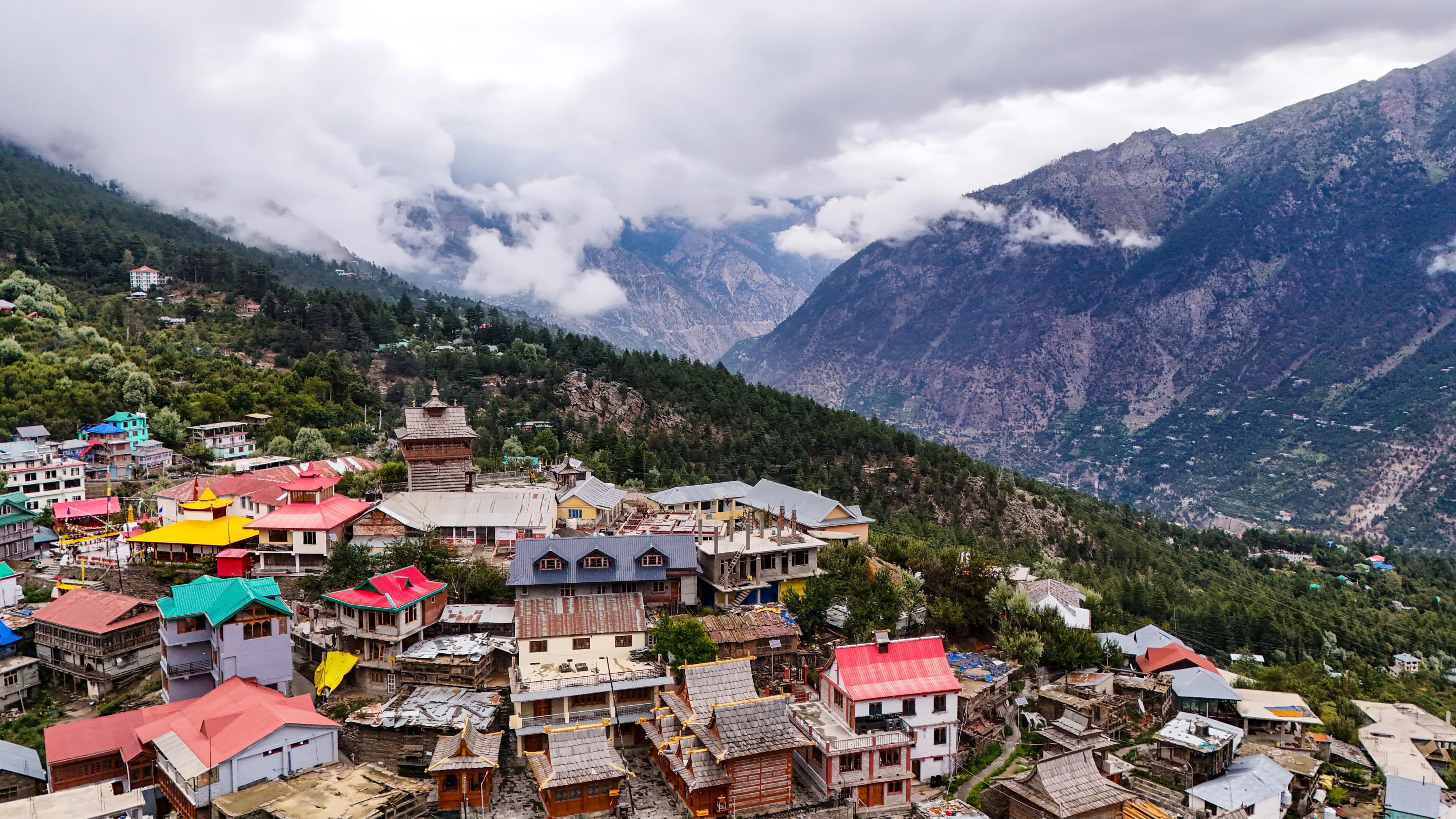 Best Colleges in Solan: Courses, Fees & Admission Guide