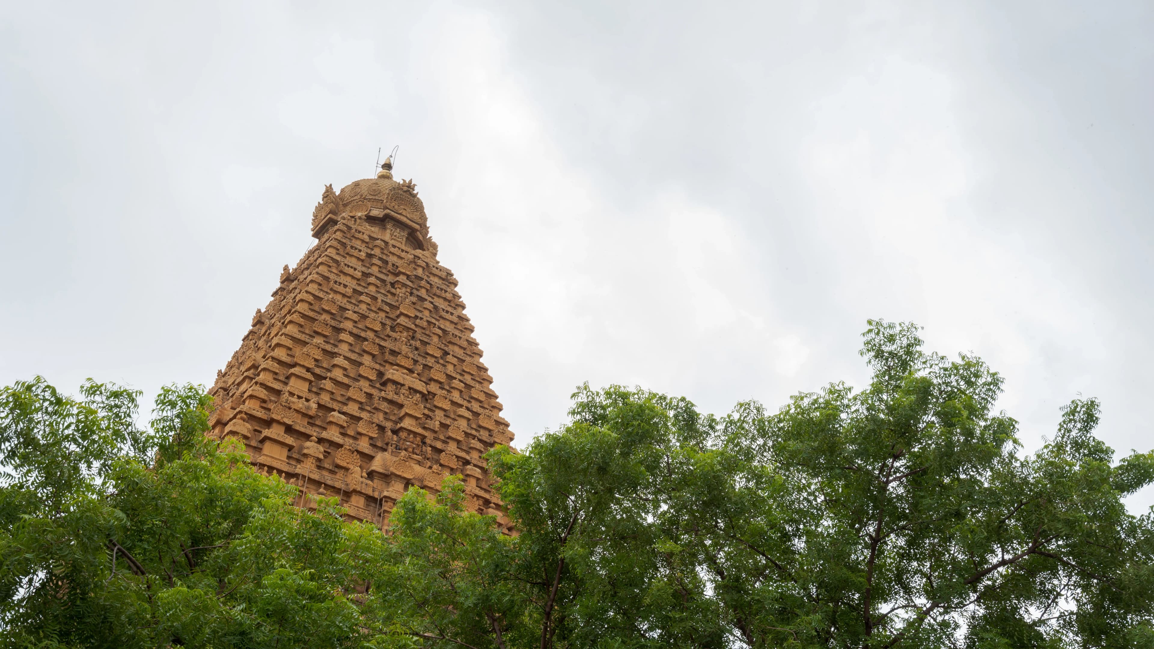 Best Colleges in Trivandrum (Thiruvananthapuram): Courses & Admission Guide