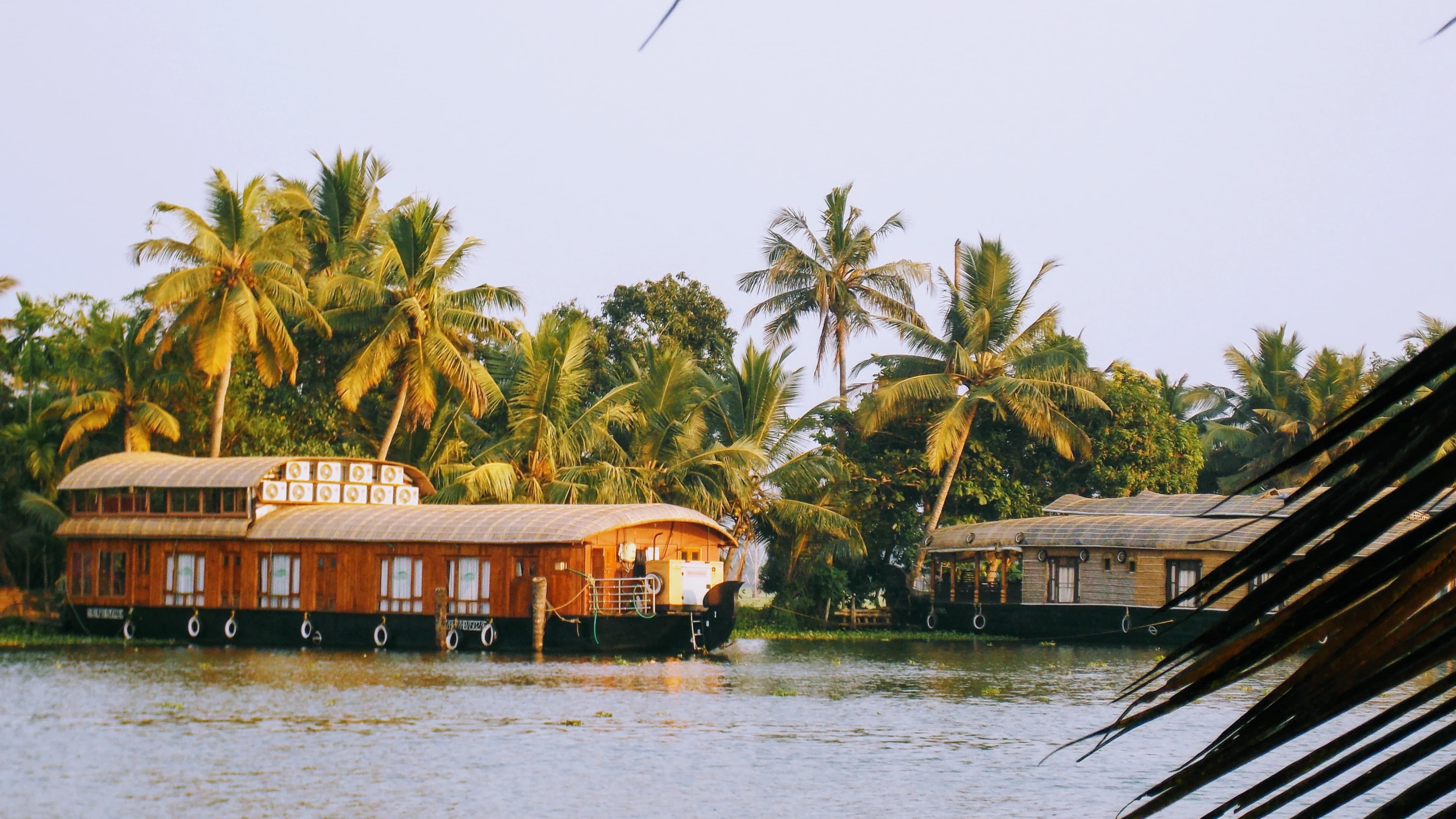 Top Colleges in Kozhikode: Courses, Fees & Admission Details